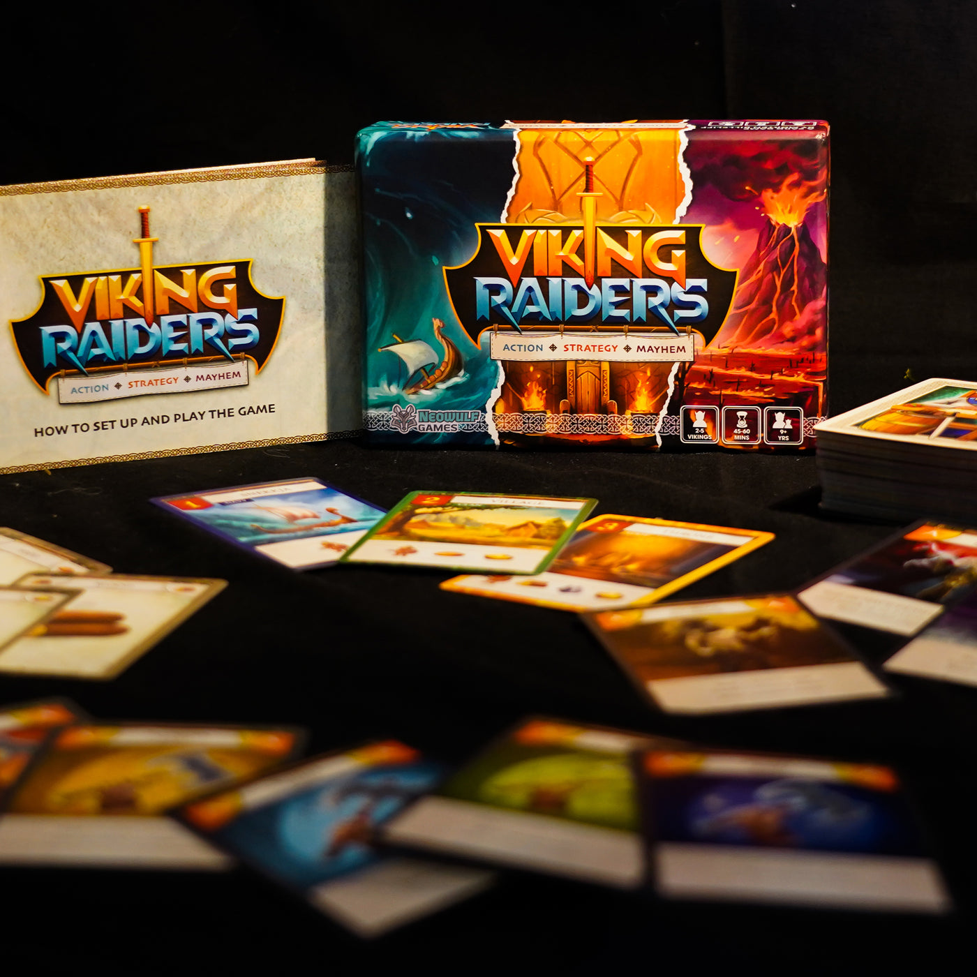 Viking Raiders