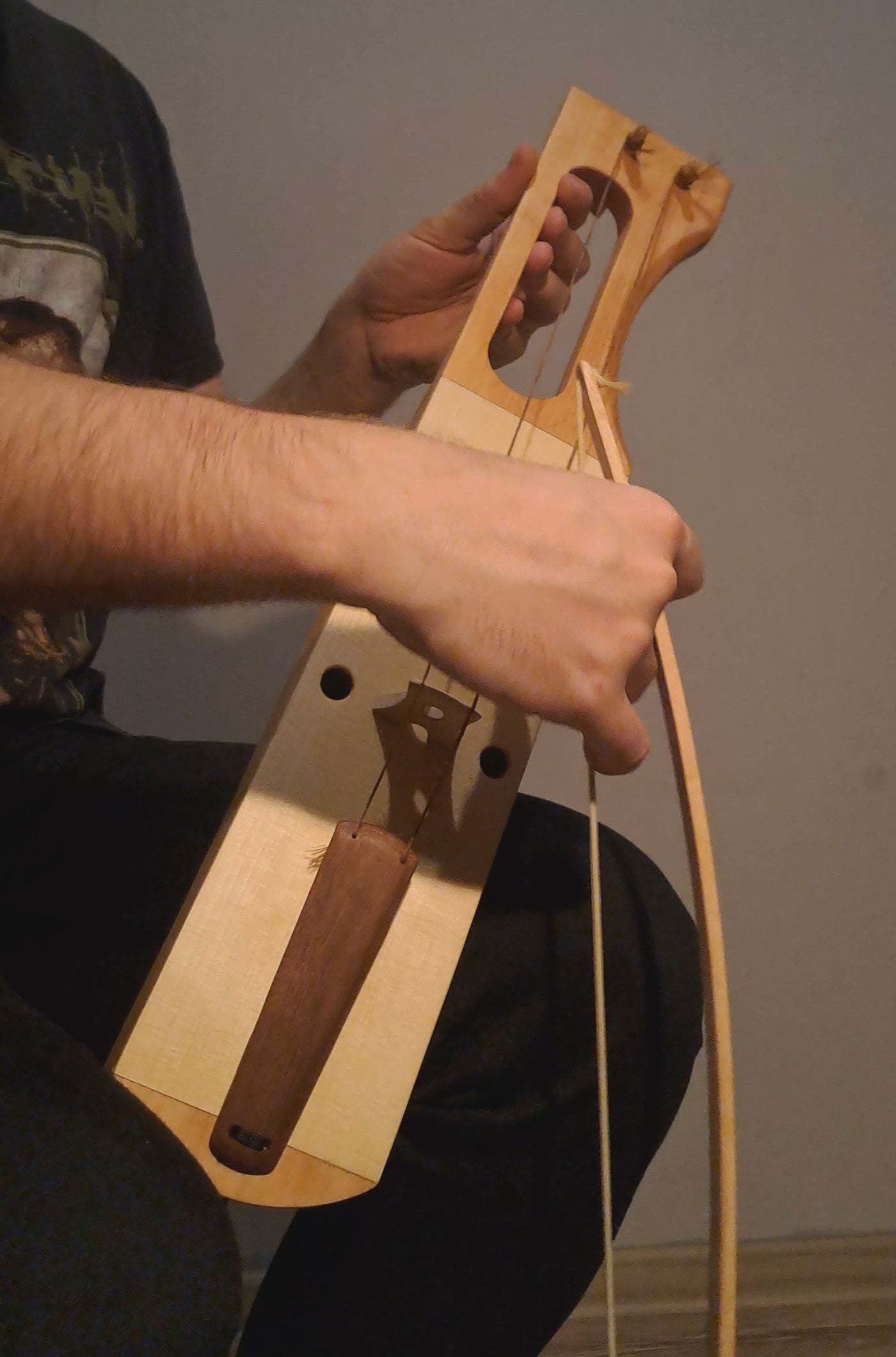 Jouhikko, 2 Strings Standard