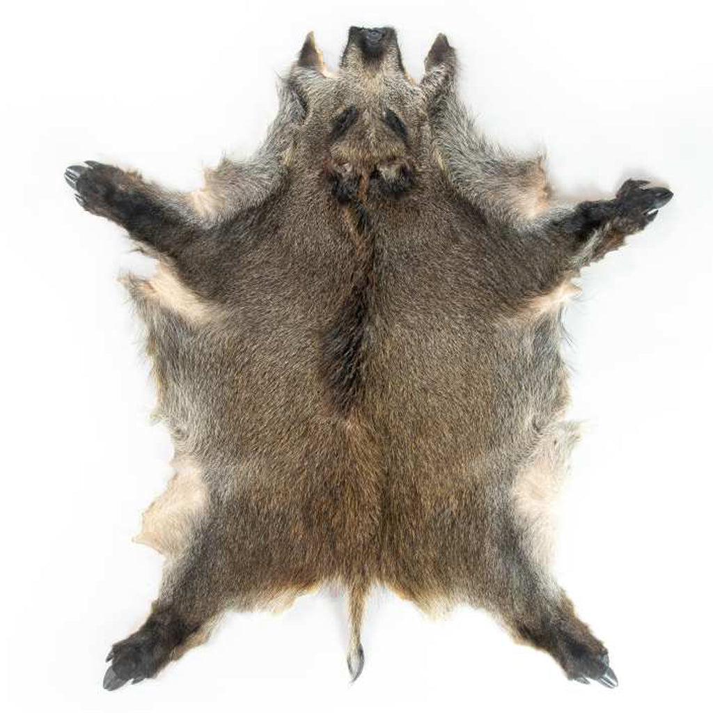Boar Skin Robe Wild Boar Skin – Grimfrost Intl